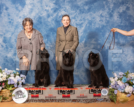 Belgian Sheepdog Family Sun__SR_8347_GlnRse2020-HR3