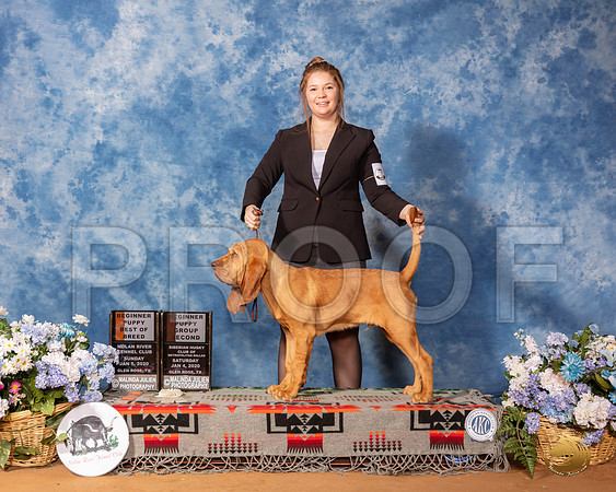 Bloodhound #5 Sun 4to6__SR_8337_GlnRse2020-HR3