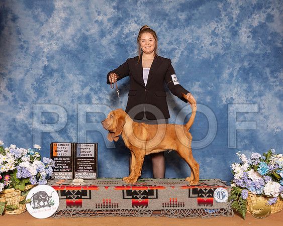 Bloodhound #5 Sun 4to6__SR_8339_GlnRse2020-HR3