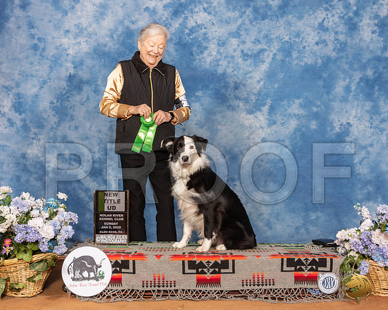 Border Collie #075 Sat NT UD Peggy__SR_8153_GlnRse2020-HR3