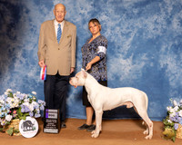 Dogo #11 Sun WD Judge Ralph J (Sonny) Ambrosio