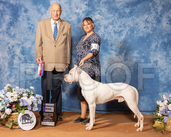 Dogo #11 Sun WD Judge Ralph J (Sonny) Ambrosio__SR_8355_GlnRse2020-HR3