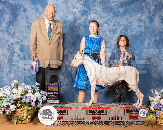 Dogo #6 Sun BOB Judge Ralph J (Sonny) Ambrosio__SR_8359_GlnRse2020-HR3