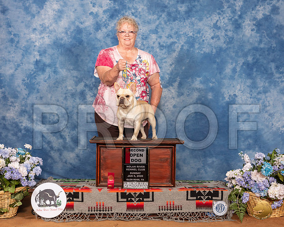 French Bulldog #15 Sun OpnD2nd__SR_8163_GlnRse2020-HR3