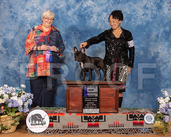 French Bulldog #52 Sun WB Maj Judge Cindy Stansell__SR_8217_GlnRse2020-HR3