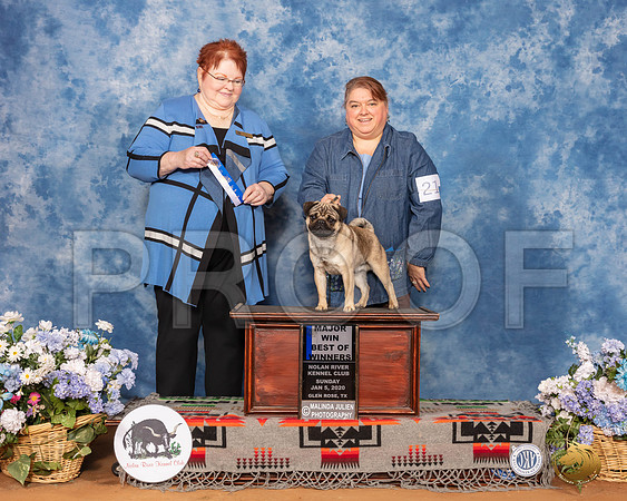 Pug #21 Sun BOW Maj Judge Melinda Lyons__SR_8193_GlnRse2020-HR3