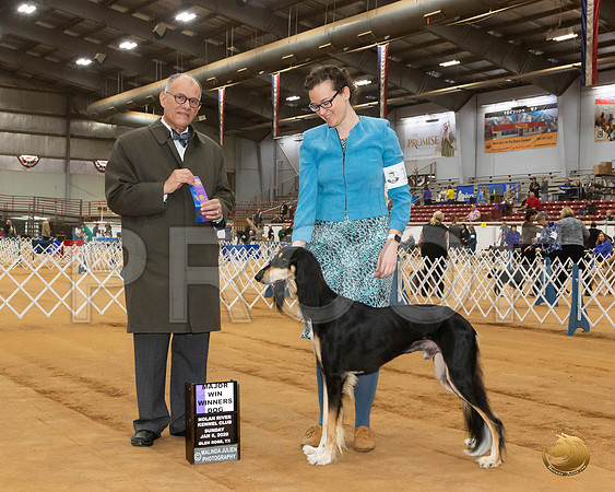 Saluki #15 Sun WD Maj Judge Luis Sosa_JJL_9350_GlnRse2020-HR3