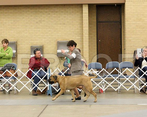 6-8VetSweeps-7362