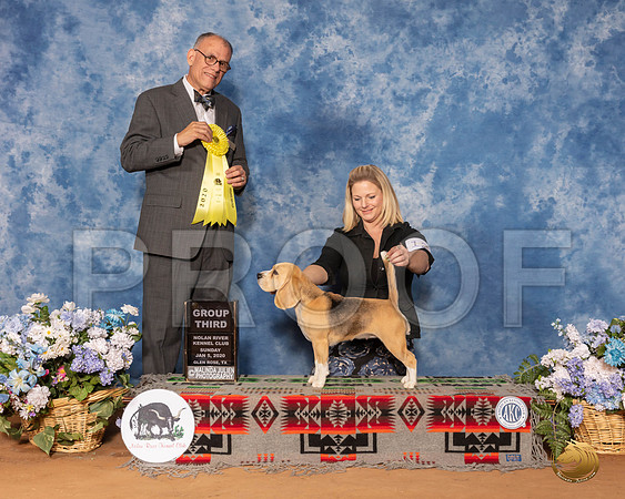 Beagle #12 Sun G3 Judge Luis Sosa__SR_8714_GlnRse2020-HR3