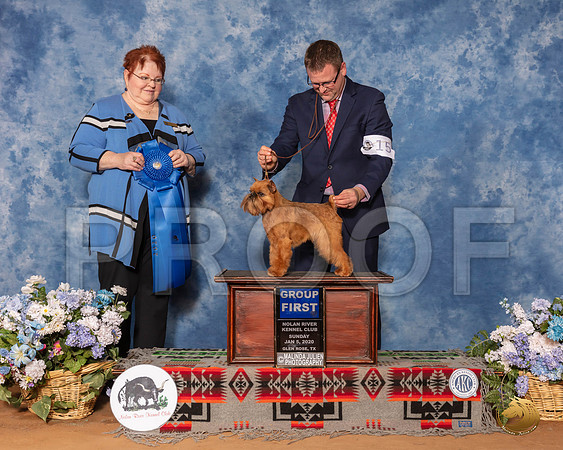 Brussels Griffon #15 Sun G1 Judge Melinda Lyons__SR_8685_GlnRse2020-HR3