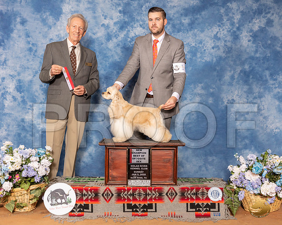 Cocker Spaniel ASCOB #8 Sun NCh Judge Jimmy Moses__SR_8516_GlnRse2020-HR3