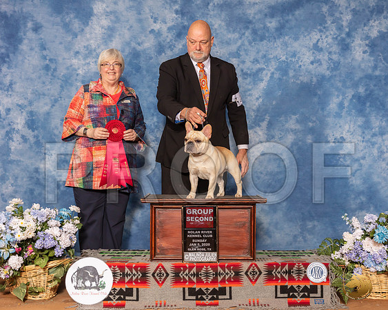 French Bulldog #29 Sun G2 Judge Cindy Stansell__SR_8658_GlnRse2020-HR3