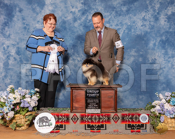 Pomeranian #11 Sun G4 Judge Melinda Lyons__SR_8693_GlnRse2020-HR3