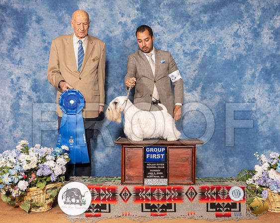 Sealyham Terrier #6 Sun G1 Judge Ralph J (Sonny) Ambrosio__SR_8607_GlnRse2020-HR3