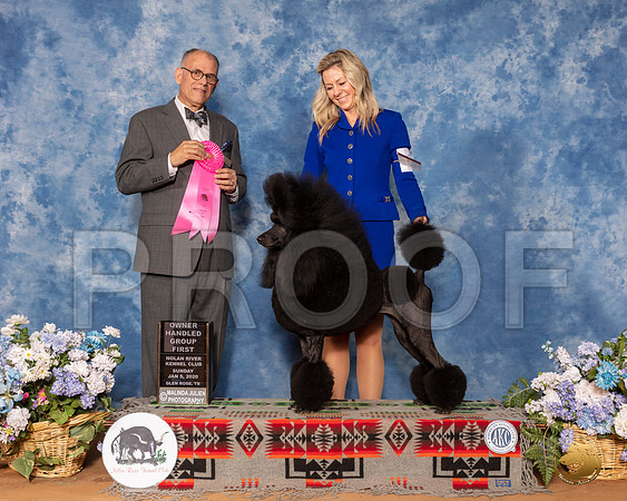 Poodle Std #6 Sun OHG1 Judge Luis Sosa__SR_8740_GlnRse2020-HR3