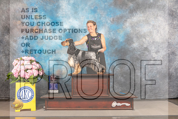 English Cocker Spaniel #5 THUR WD BOW Major Judge Barbara Alderman_MJ_3761_Houston_2022_HR3