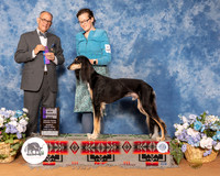 Saluki #15 Sun WD Maj Judge Luis Sosa 2