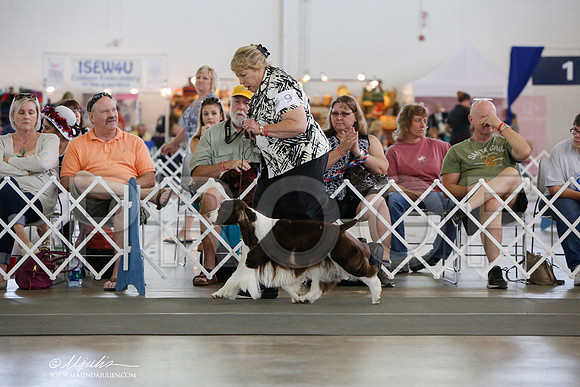 _JJ_1398-DallasJul2014-HR3