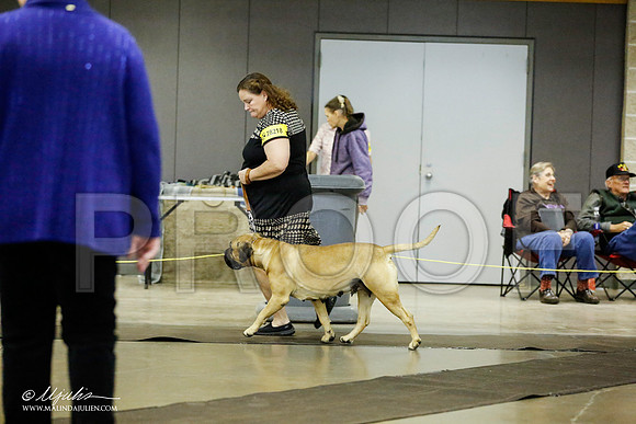 _RH_1895-BeltonJan2015IABCA-HR3