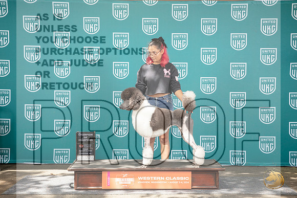 MC Standard Poodle #166 Fri Ch of Ch Judge Sharon Griffin__JP_1167_Longview WA_2024_HR3