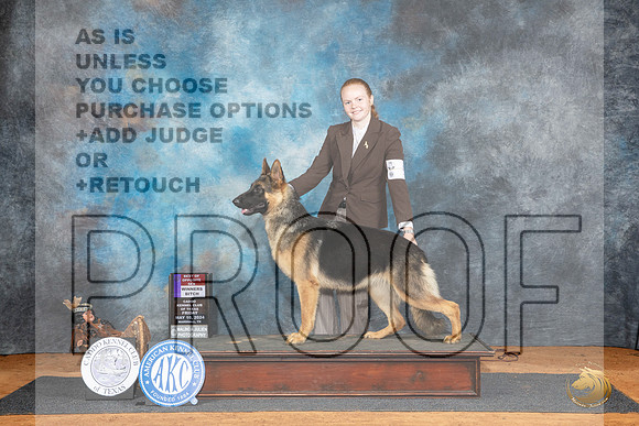 German Shepherd Dog #8 Fri WBBOS Judge Karen Hynek__JP_6909_MARSHALL_2024_HR3
