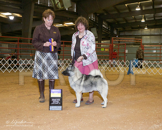 _RH_8867-GlenRoseJan2015-HR3