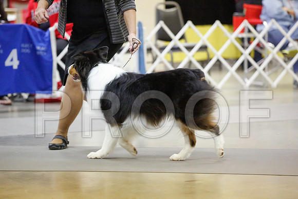_JN_6416-AmarilloSept2014-HR3