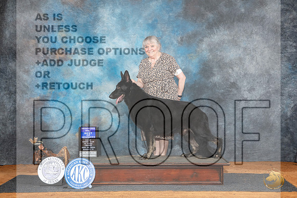 German Shepherd Dog #7 Fri WDBOW Judge Karen Hynek__JP_6917_MARSHALL_2024_HR3