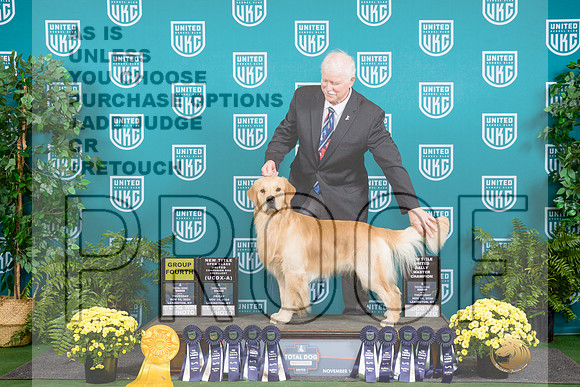 Golden Retriever #138 Sat G4__JP_2707_UKCTDI2024_HR3
