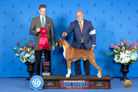 Boxer #5 FRI G2 Judge Ronald Freeman