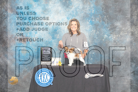 Papillon #33 Sat BPup Judge Brad Jenkins_MJ_0217_HstnTOY_2022_HR3