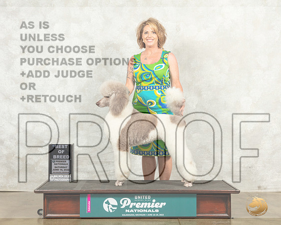 Poodle Std MC #773 Sat BOBGCh Judge Sandra Kowalski__MJ_8680_Premier_2022_HR3