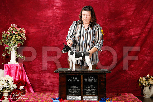 _ST_2961-2-BeltonJan2015IABCA-HR3