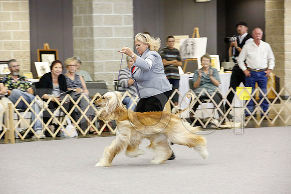 _JJ_2225-AfgBeltonOct2014-HR3