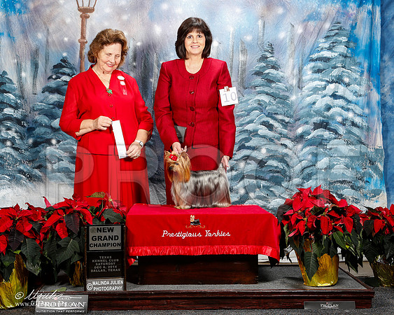 _ST_8560-2-DallasDec2014-HR3
