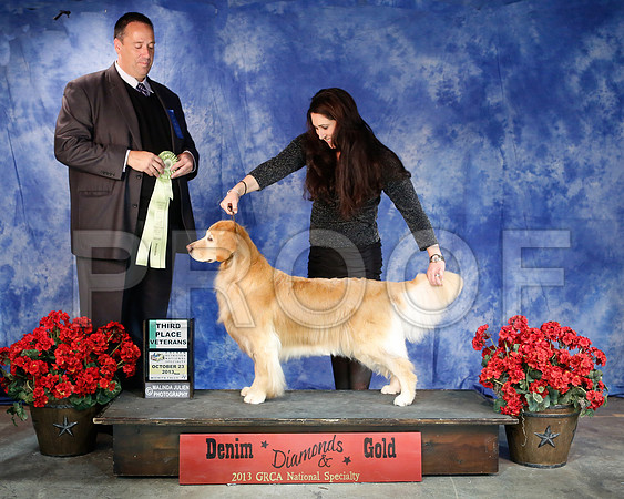 VetSweeps-6454-WFOct2013-HR