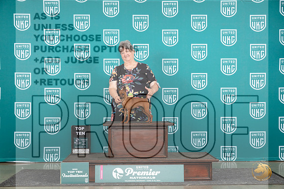 Miniature Pinscher #821 Thur T10 Judge Sharon Griffin__JP_0881_Premier_2024_HR3