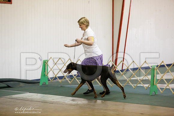 _RH_5636-DntnJun2014-HR3