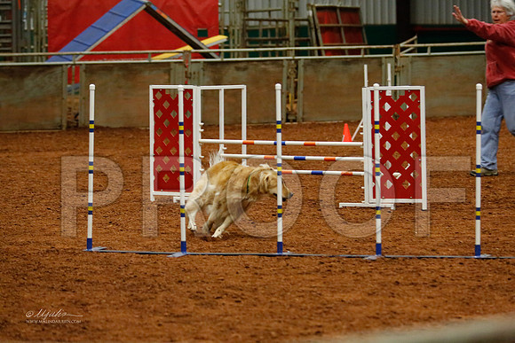 JwwOpen20-3109-WFOct2013-HR