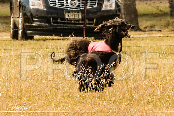 _MJ_5475-AfgBeltonOct2014-HR3