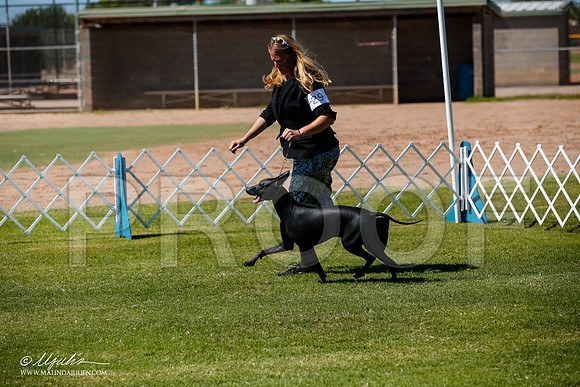 _JJ_8277-AlamogordoOct2014-HR3