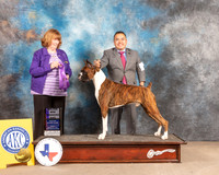 Boxer #17 Fri WD Judge Ann Gilbert