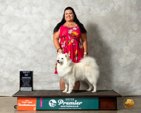 American Eskimo #574 Thurs Top10BOB Judge Pamela Perdue