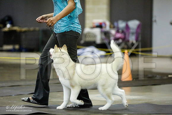 _RH_1791-BeltonJan2015IABCA-HR3