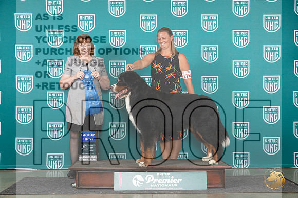 Bernese Mountainn Dog #1173 Sat G1 Judge Lori Sargent__JP_2390_Premier_2024_HR3
