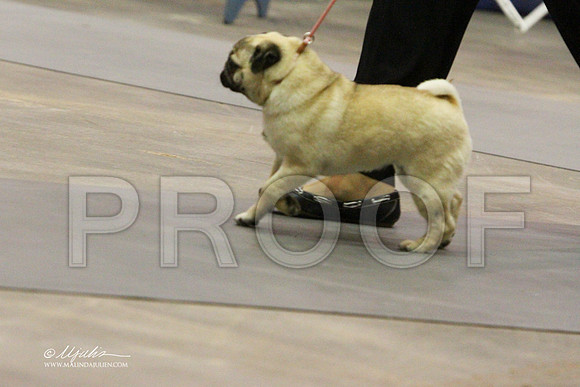Pug-9338LR