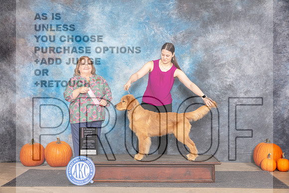 Golden Retriever #7 Sat 4-6G1 Judge Ann Roth-_JP_9141e_Humble2024-HR3