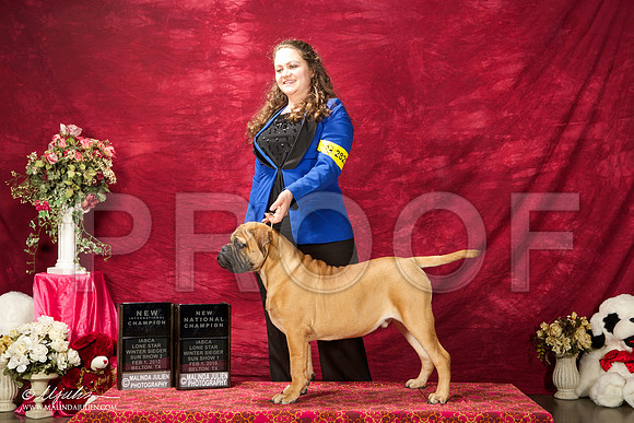 _ST_2941-BeltonJan2015IABCA-HR3