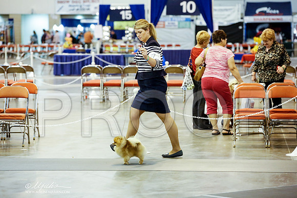 _JJ_6148-HstnJul2014-HR3