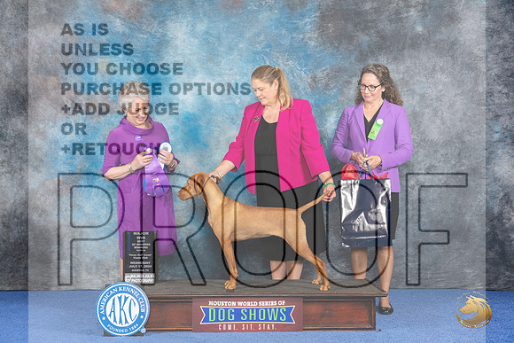Vizsla #8 Wed WBBOWM Judge Ida Kavafian__JP_7447_Houston_2024_HR3